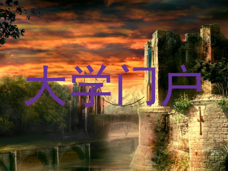 大学门户