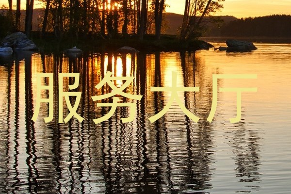 服务大厅