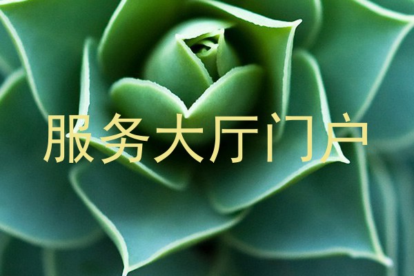 服务大厅门户