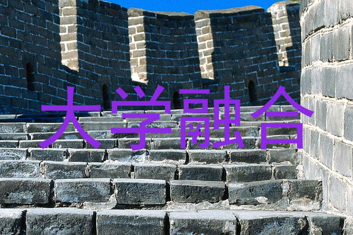 大学融合
