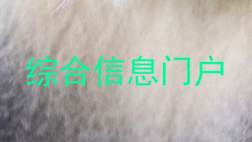 综合信息门户