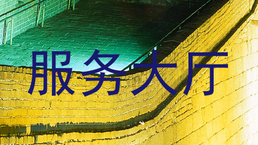 服务大厅