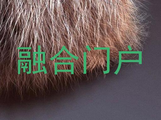 融合门户