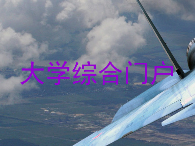 大学综合门户