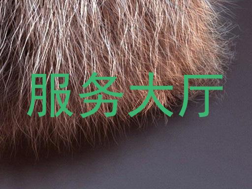服务大厅