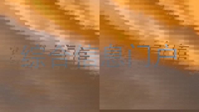 综合信息门户