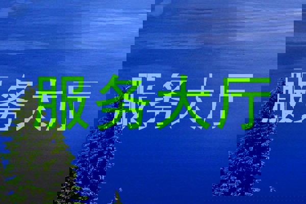 服务大厅