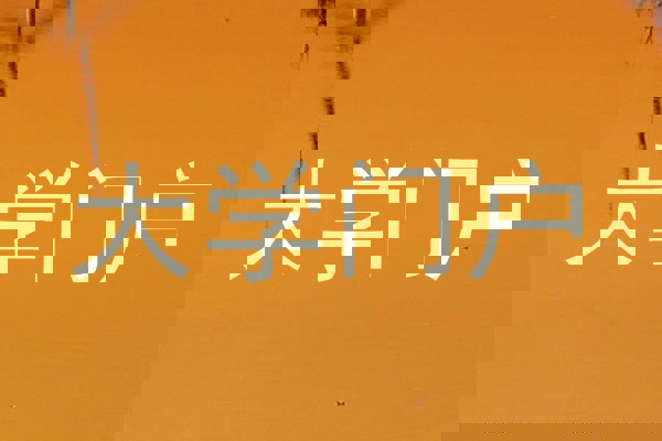 大学门户