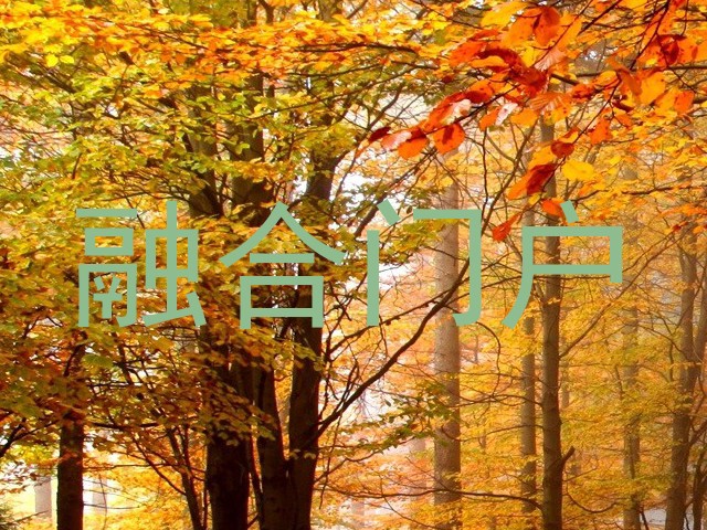 融合门户