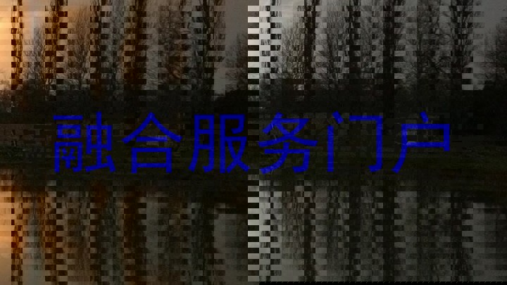 融合服务门户
