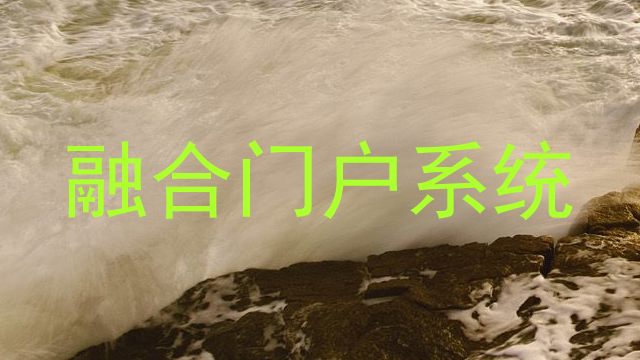 融合门户系统
