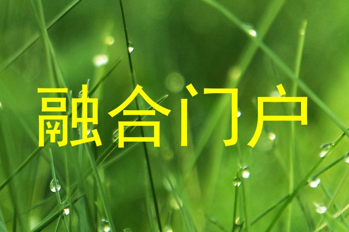 融合门户