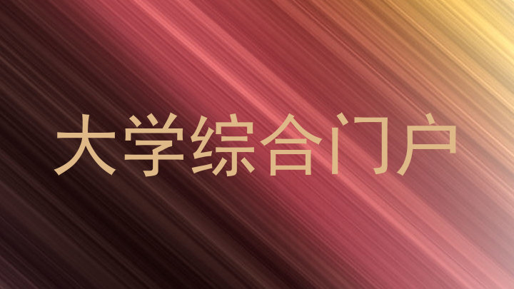 大学综合门户