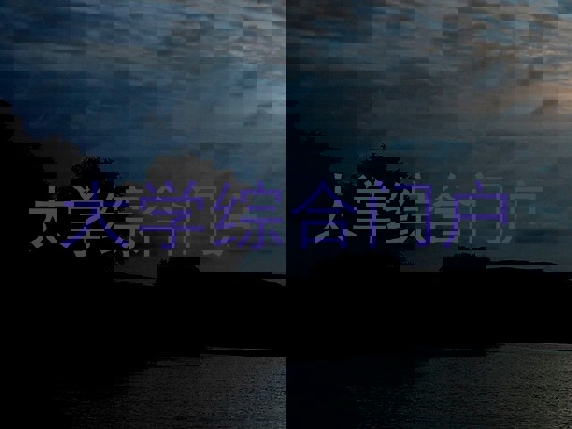 大学综合门户