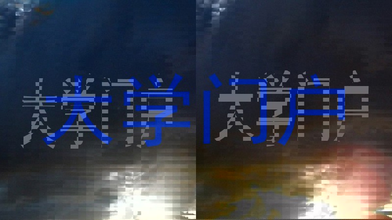 大学门户
