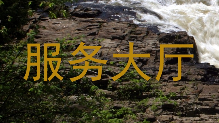 服务大厅
