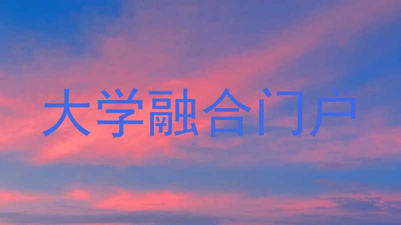 大学融合门户