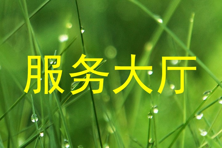 服务大厅