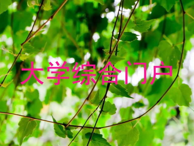 大学综合门户