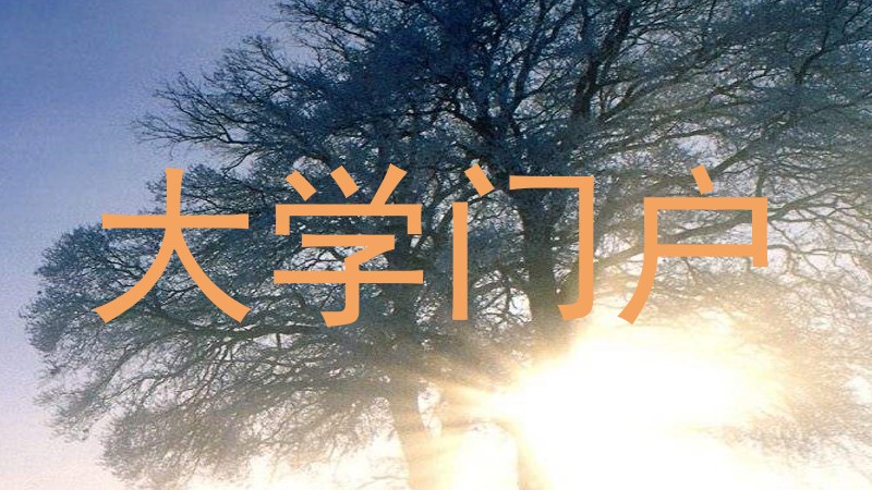 大学门户