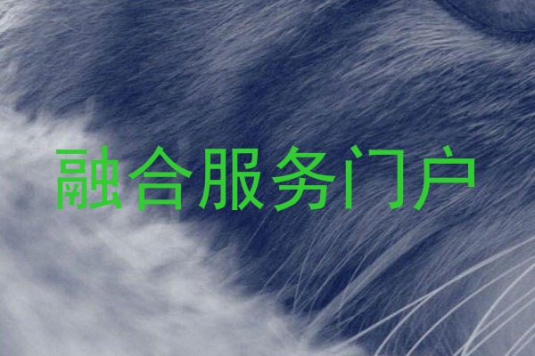 融合服务门户