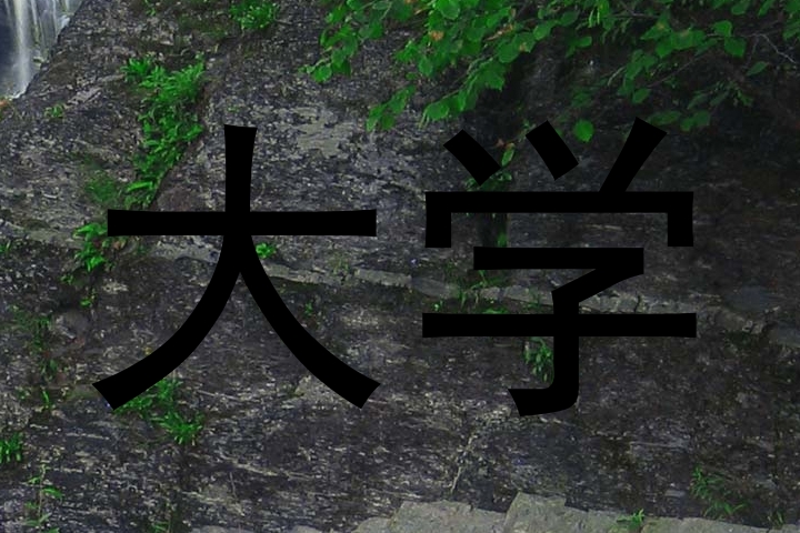 大学