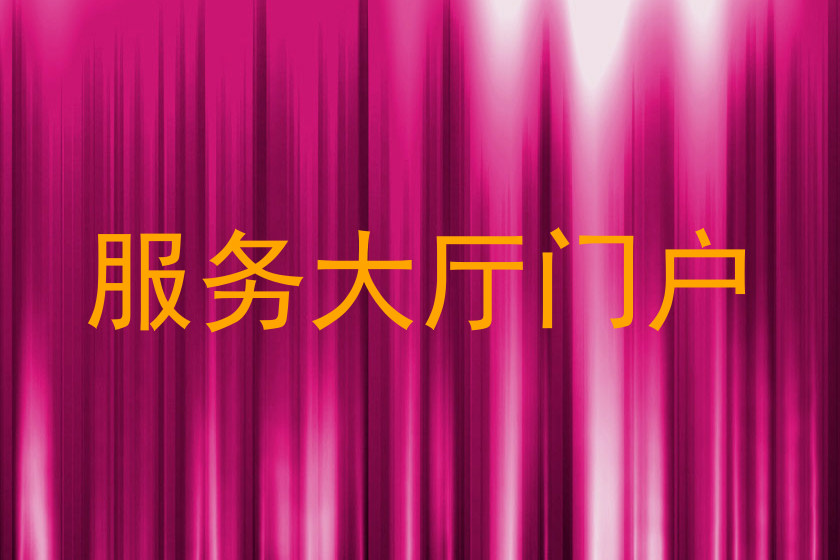 服务大厅门户