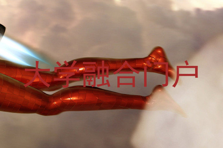 大学融合门户