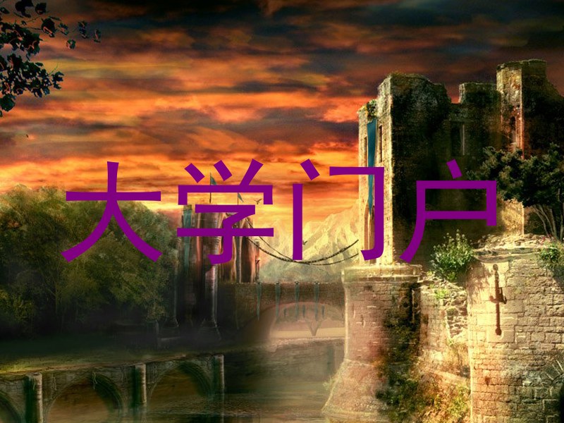 大学门户