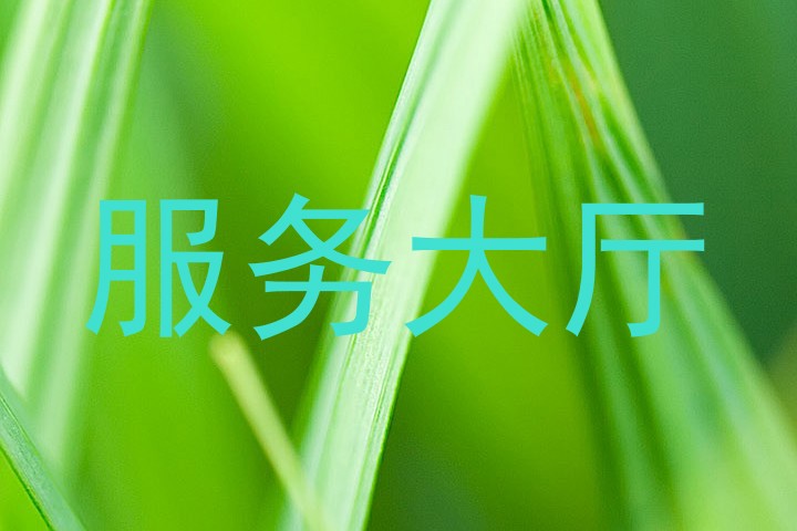 服务大厅