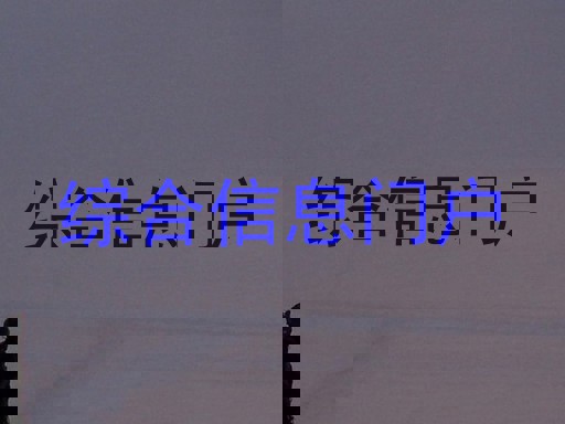 综合信息门户