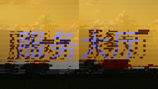 服务大厅