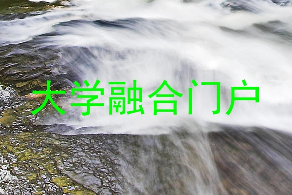 大学融合门户