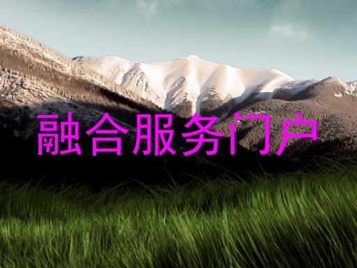 融合服务门户