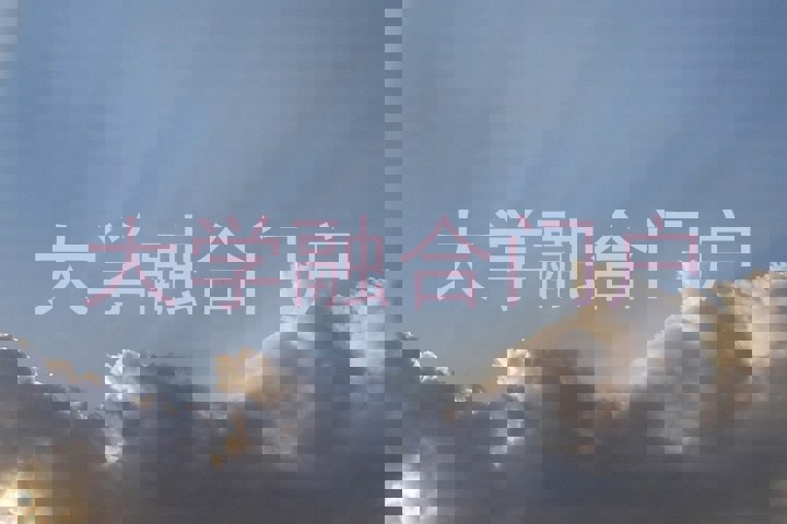 大学融合门户
