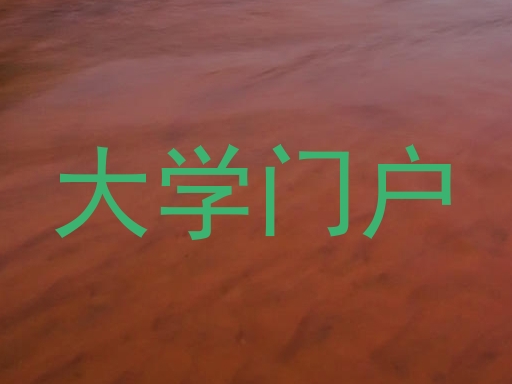 大学门户