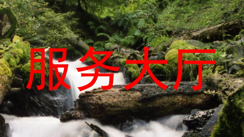 服务大厅