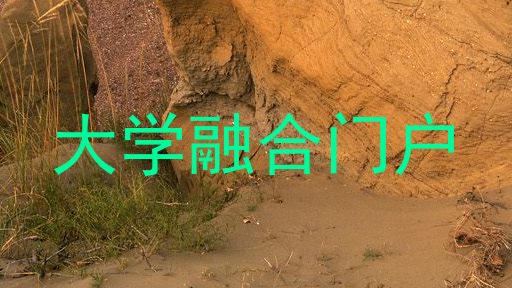 大学融合门户