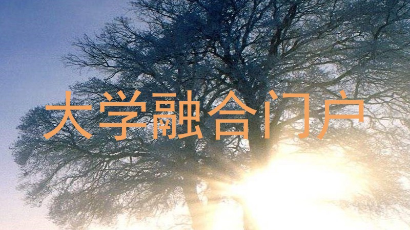 大学融合门户