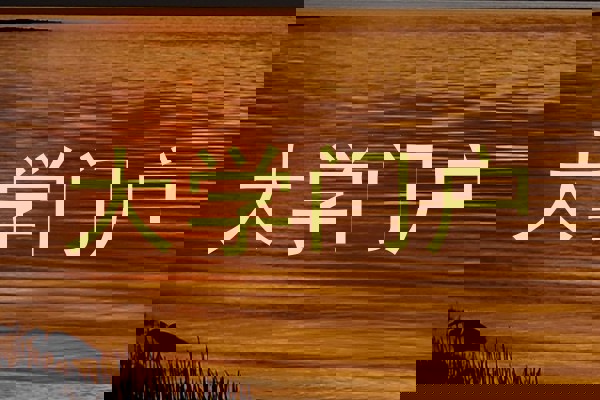 大学门户