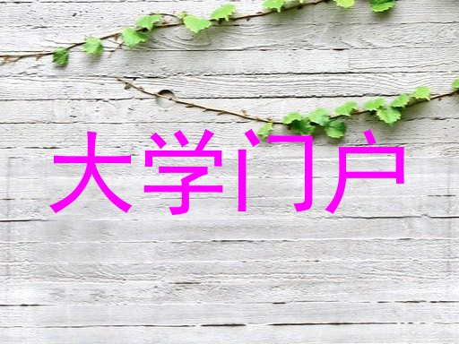 大学门户