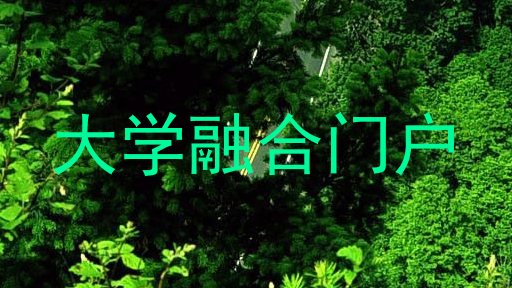大学融合门户