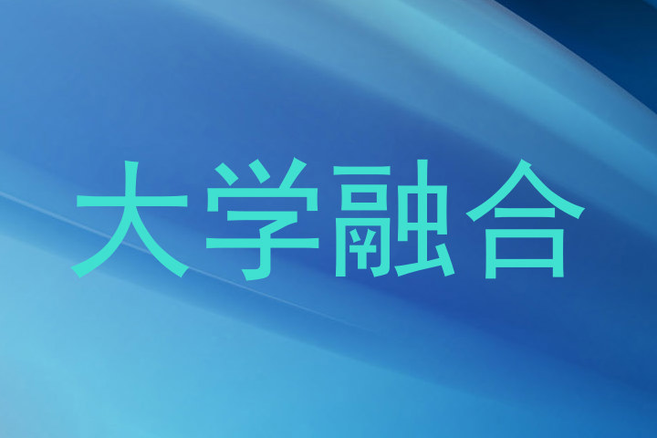 大学融合