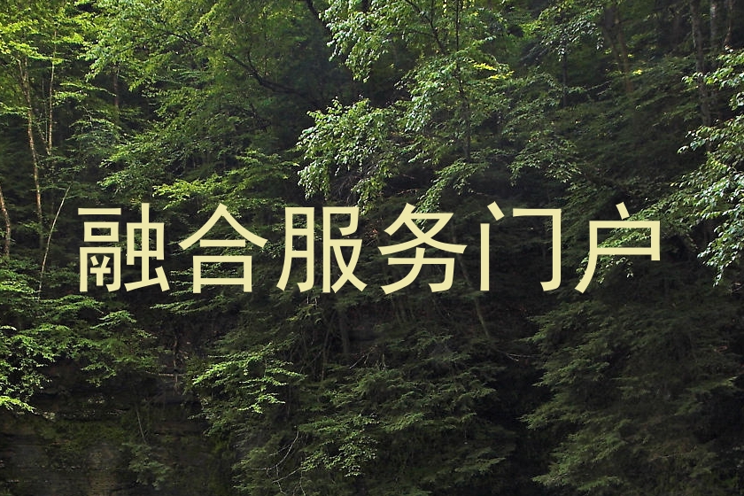 融合服务门户