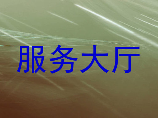 服务大厅