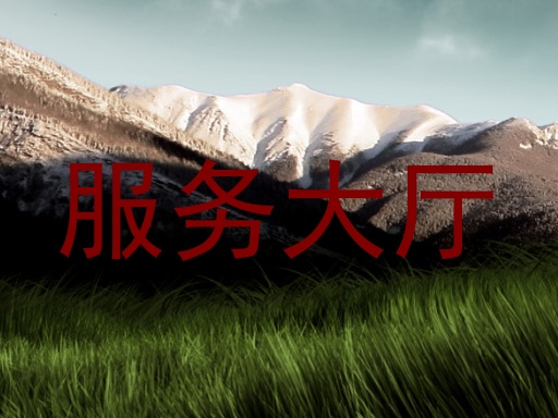 服务大厅