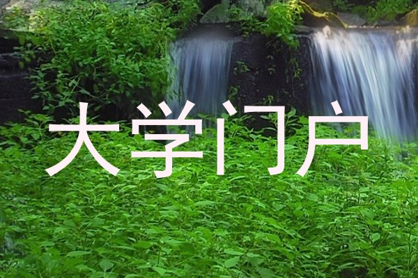 大学门户