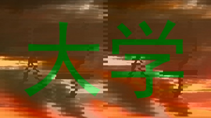 大学