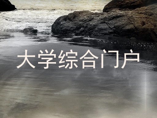 大学综合门户