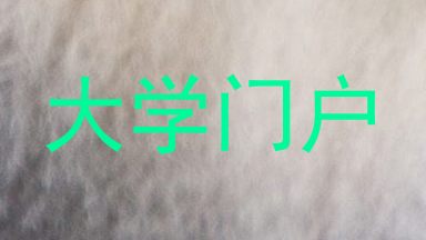 大学门户